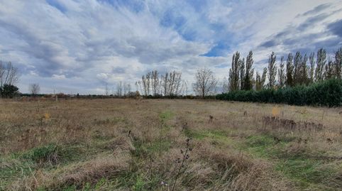 Foto 3 de Residencial en venta en La Viña y el Majuelo, 18, Grijota, Palencia