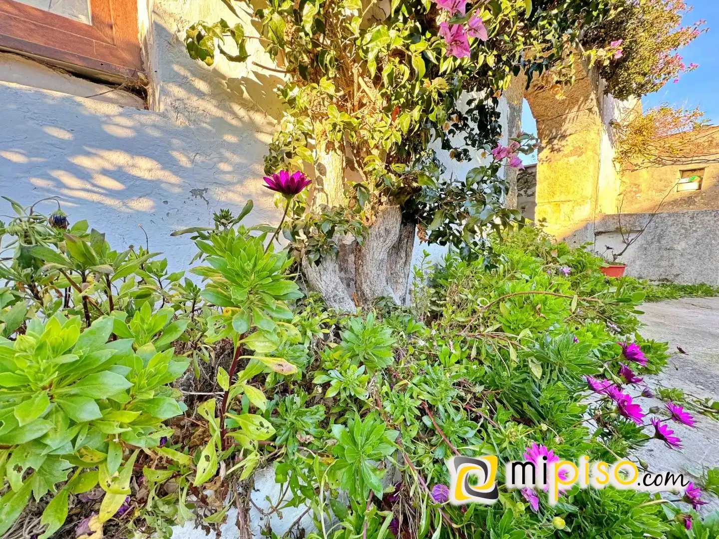 Jardí de Casa o xalet en venda en Arnuero