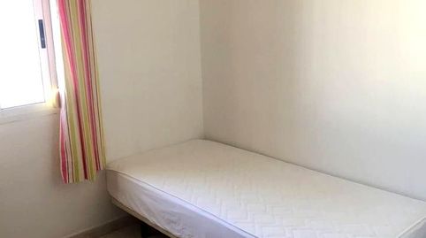 Photo 3 of Flat for rent in Paco Gandía, San Pablo, Sevilla Capital