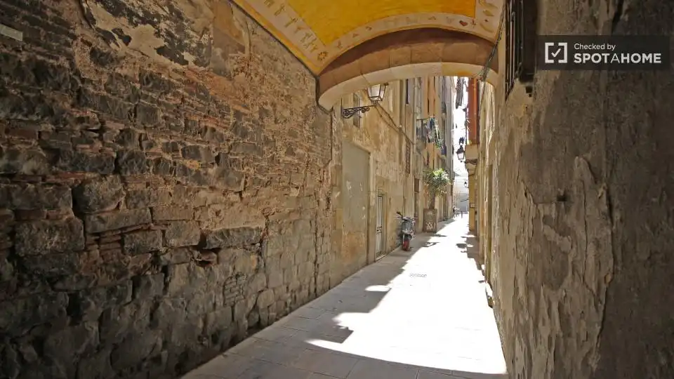Piso con terraza en alquiler en Ciutat Vella, imagen 17