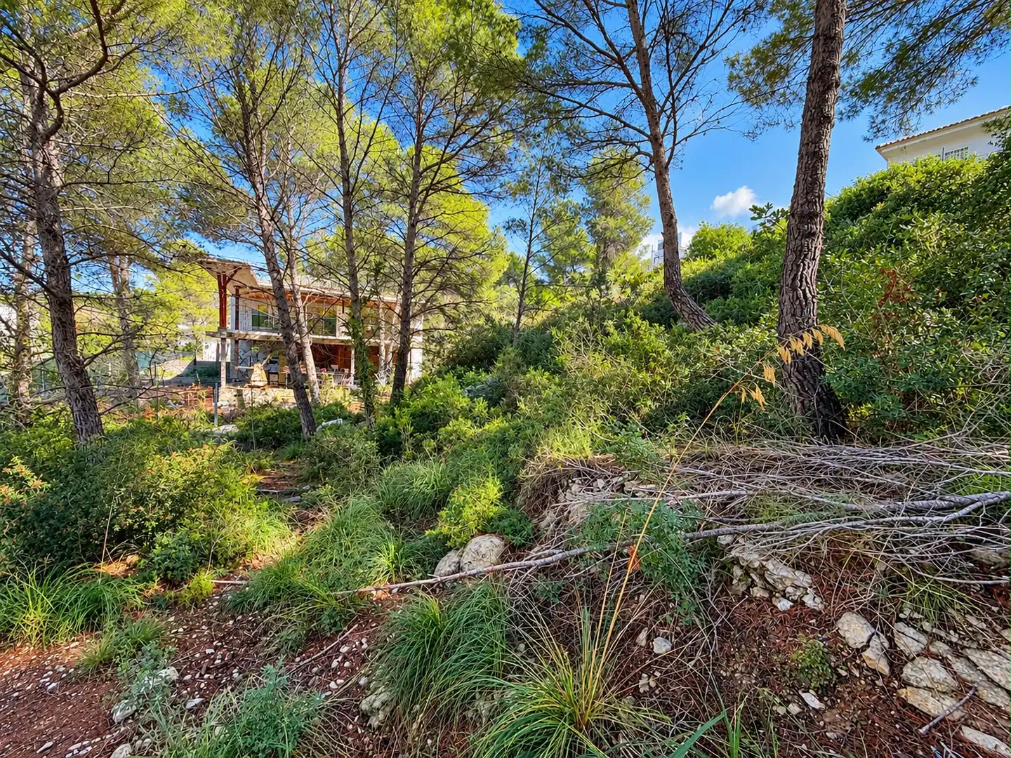 Terreny residencial en venda a Carrer Plana Novella, imagen 3