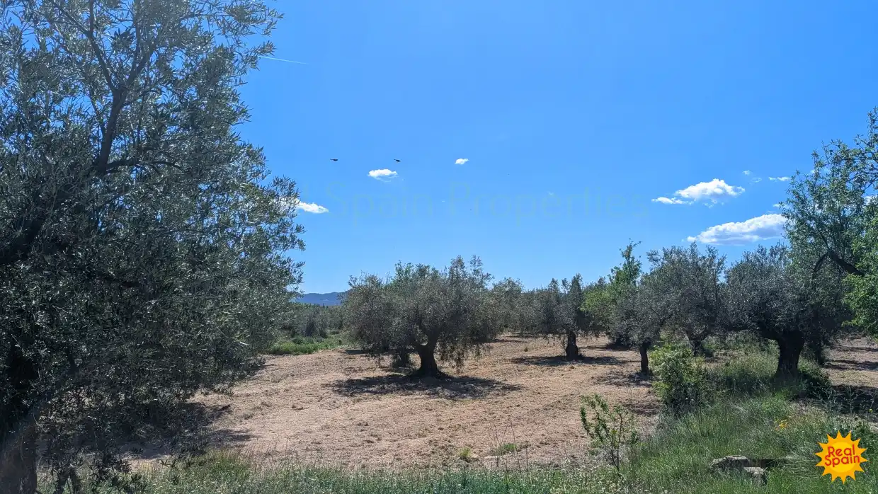 Country house for sale in Vélez-Blanco, imagen 21