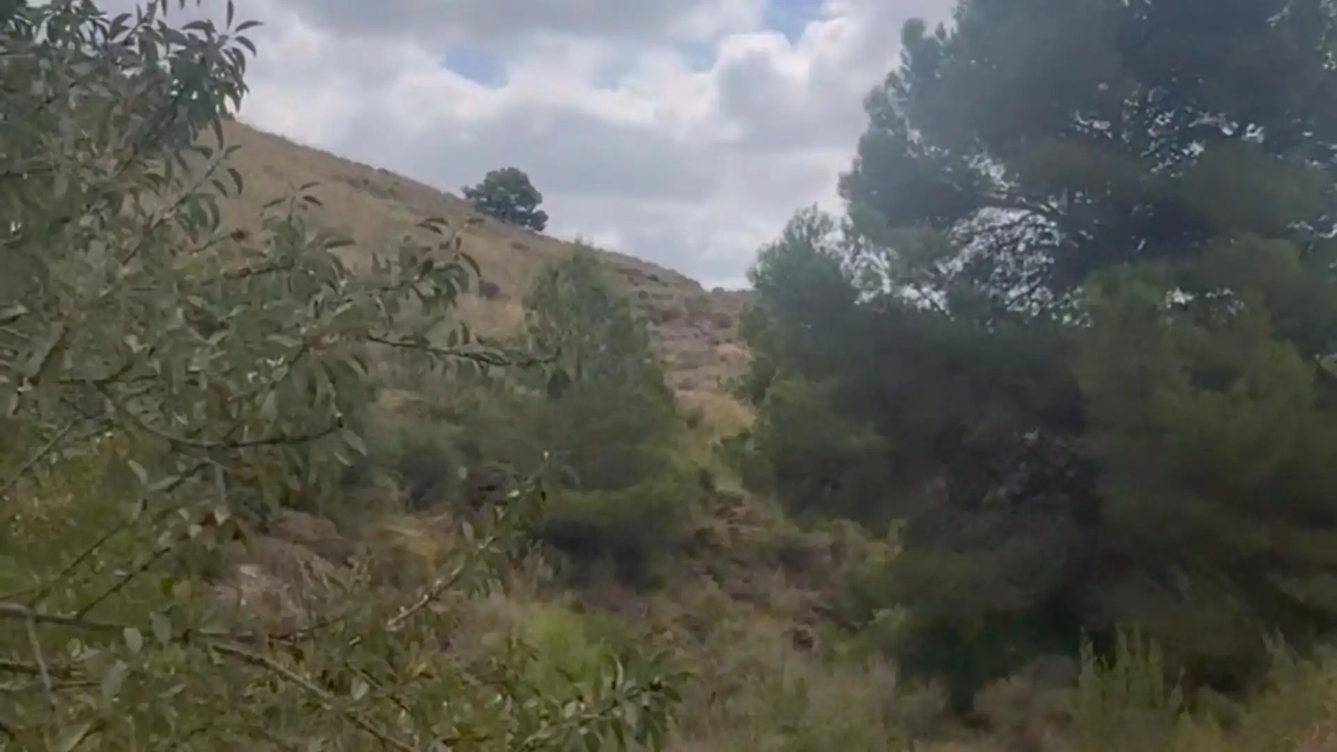 Country homes for sale in Lorca  with Private garden