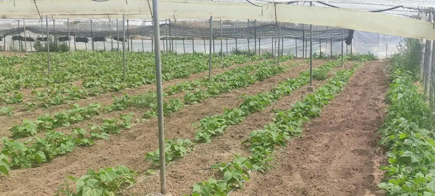 Terreni e lotti in vendita a De La Reyerta, imagen 5