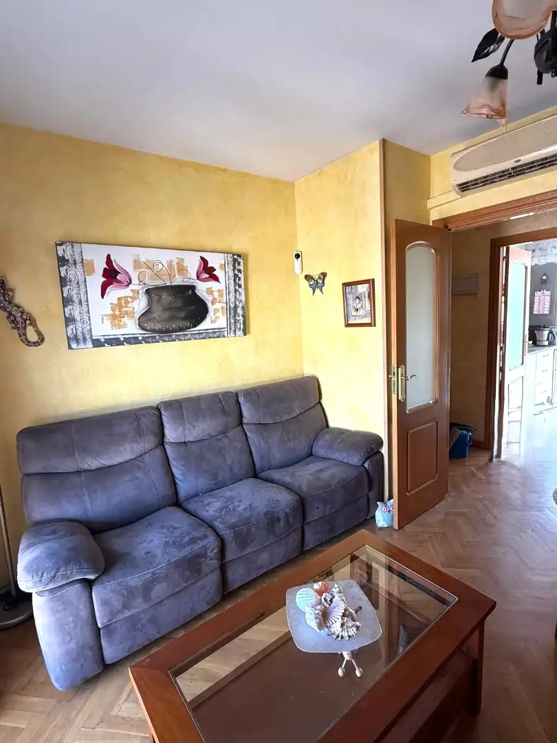 Sala d'estar de Pis en venda en San Fernando de Henares amb Aire condicionat, Calefacció i Traster