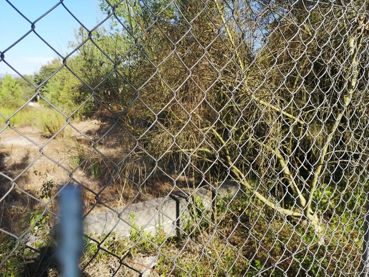 Terrenys i solars en venda a O Pereiro de Aguiar, imagen 10