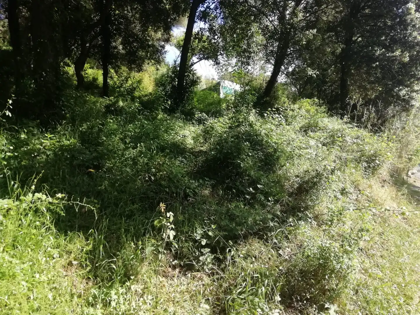 Residential land for sale in Sant Pere de Vilamajor, imagen 6
