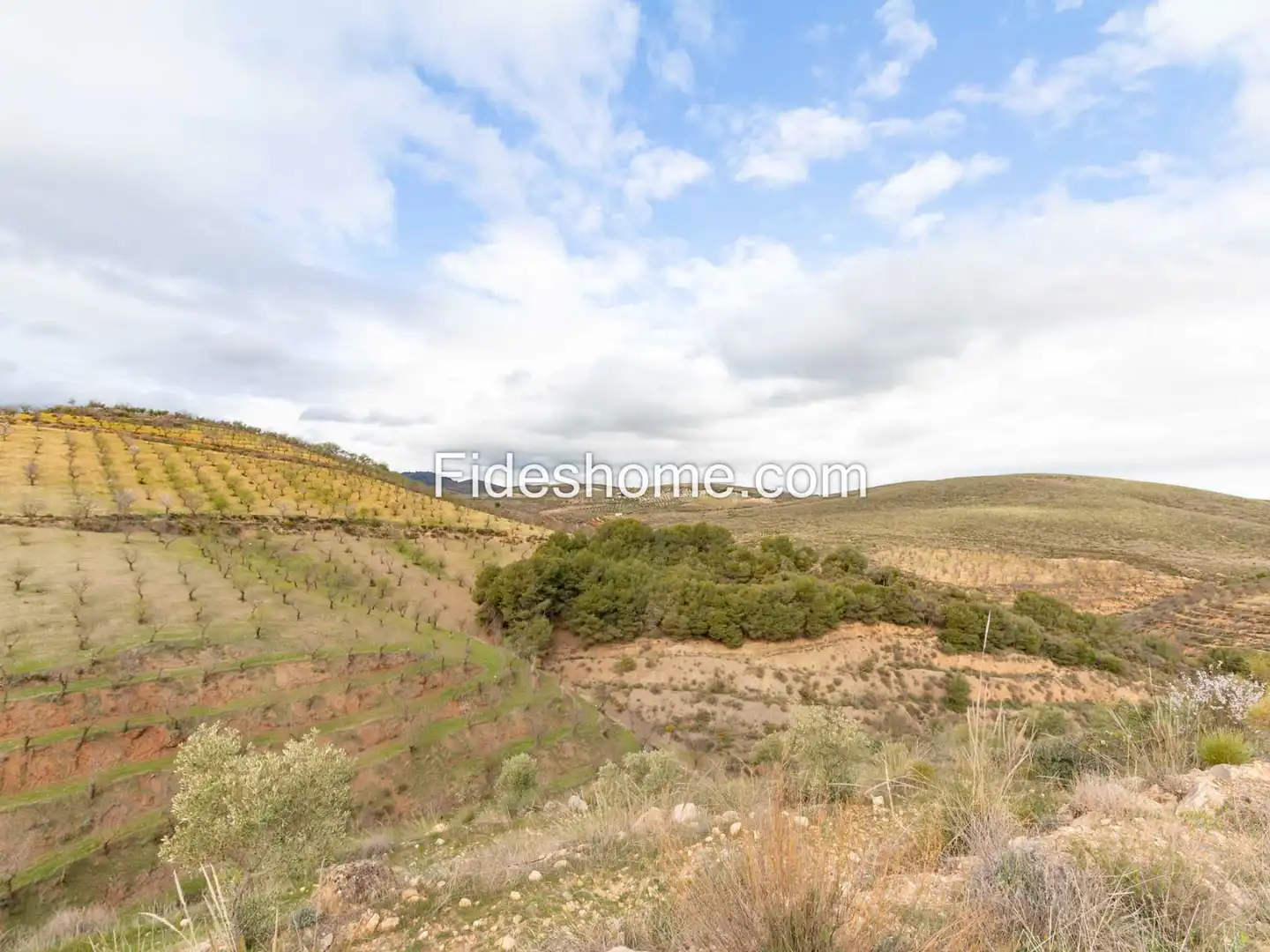 Finca rústica en venda en Villamena amb Jardí privat, Piscina i Moblat