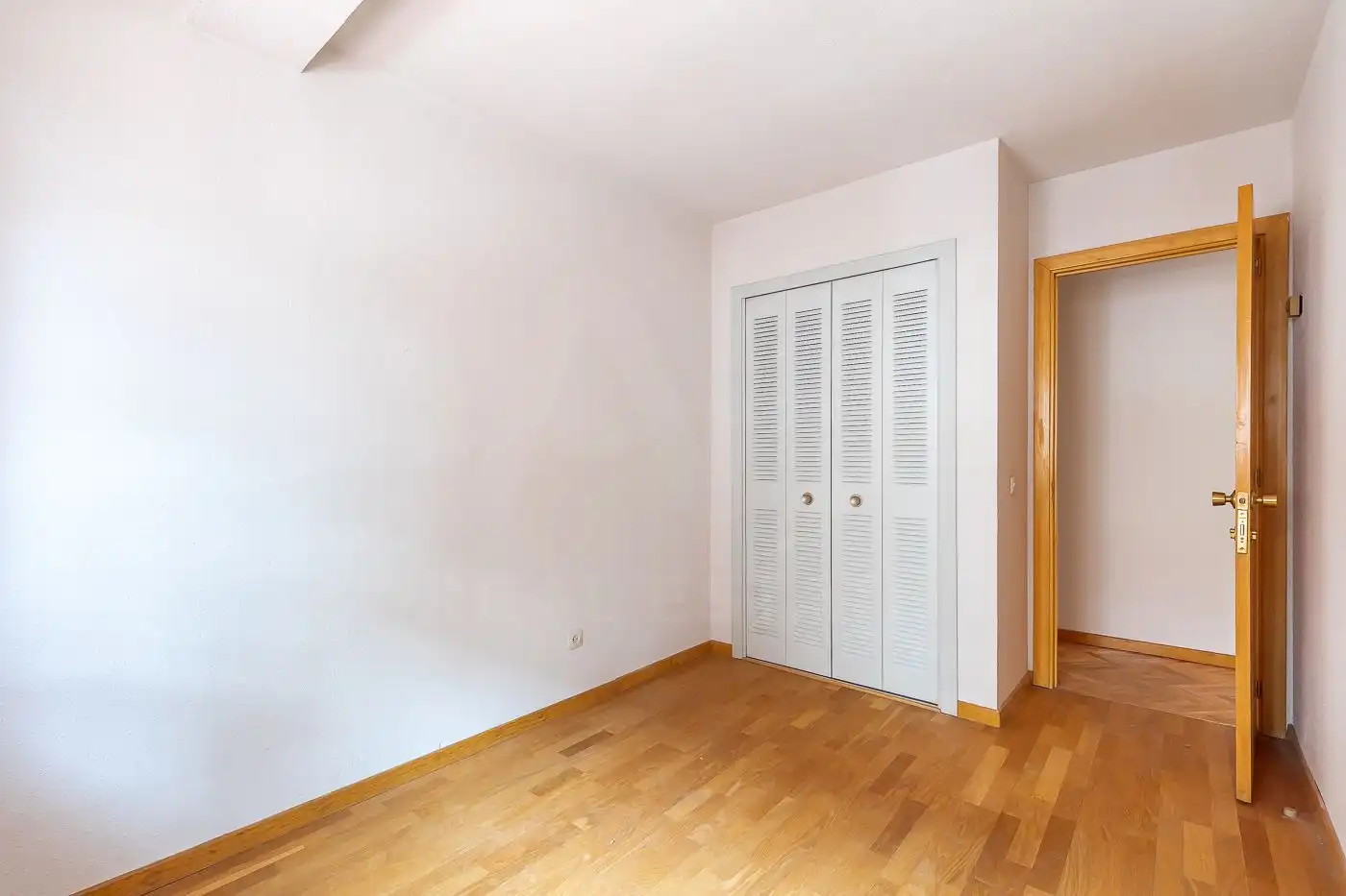 Appartamento in vendita a Casco Antiguo, imagen 22