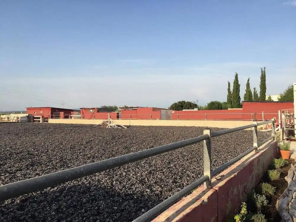 Vista exterior de Piso en venta en Fortuna