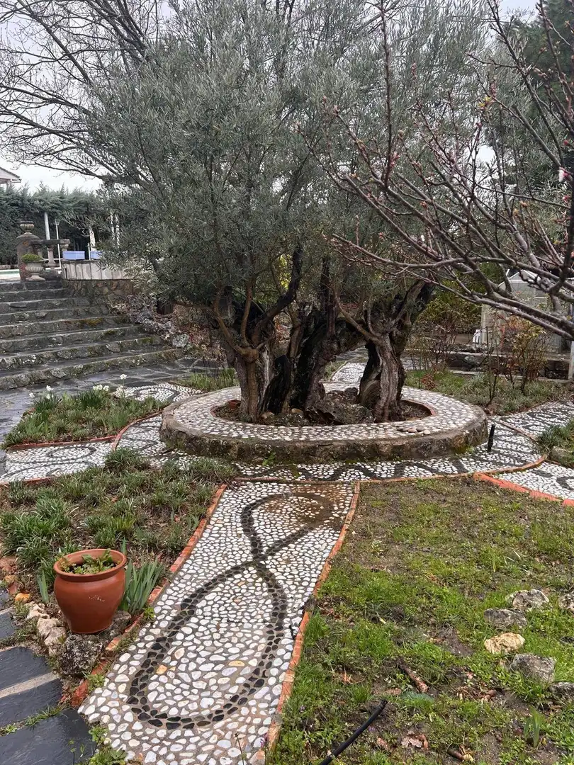 Garden of Houses for sale in Uceda  with Heating, Private garden and Terrace