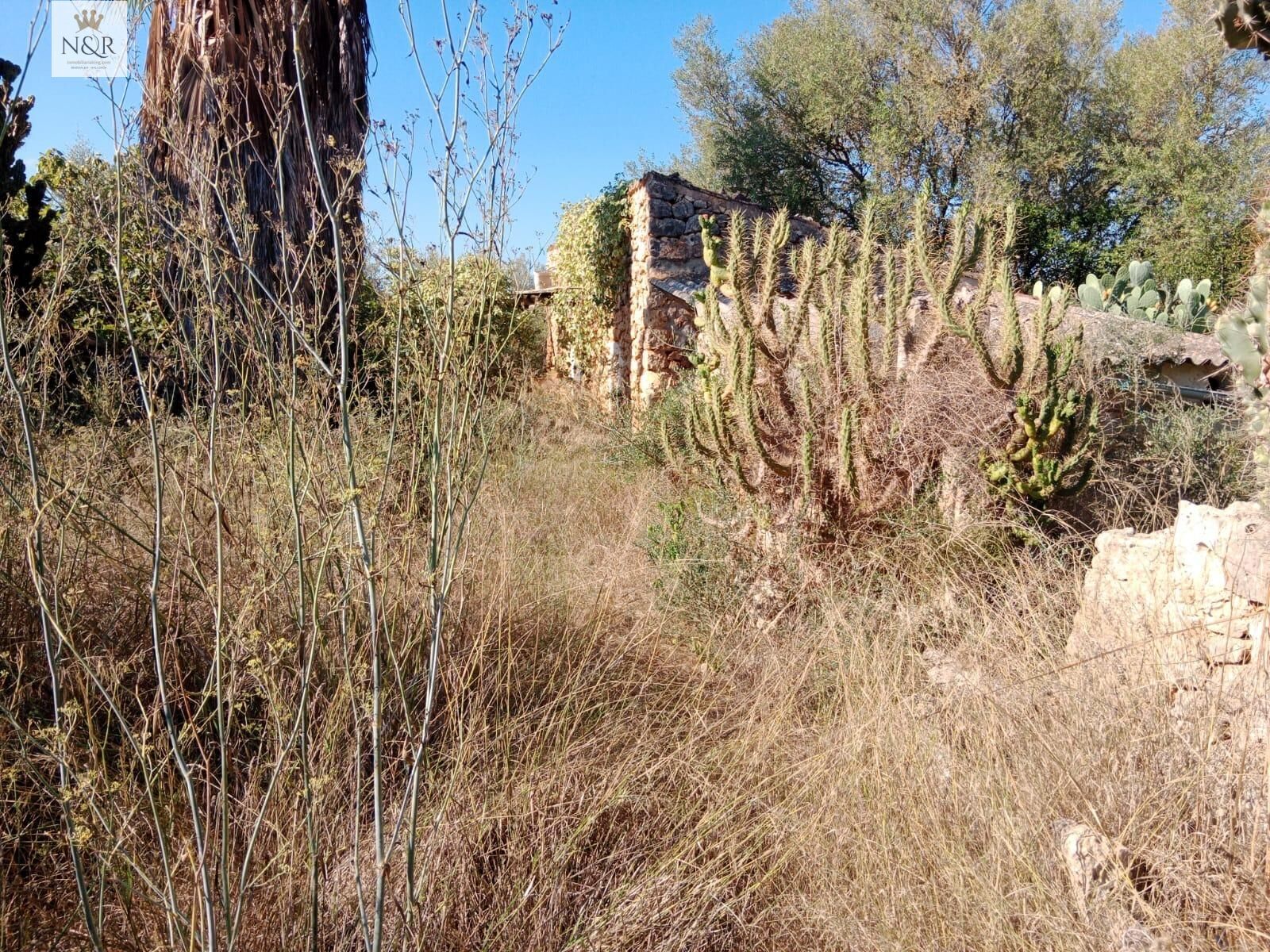 Finca rústica en venda en Sineu