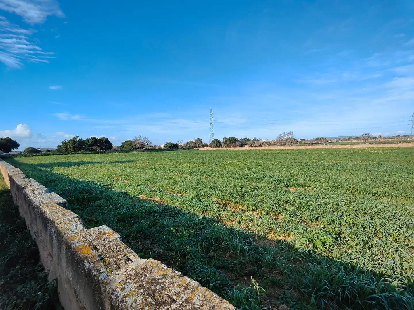 Terreno en venta en Llucmajor