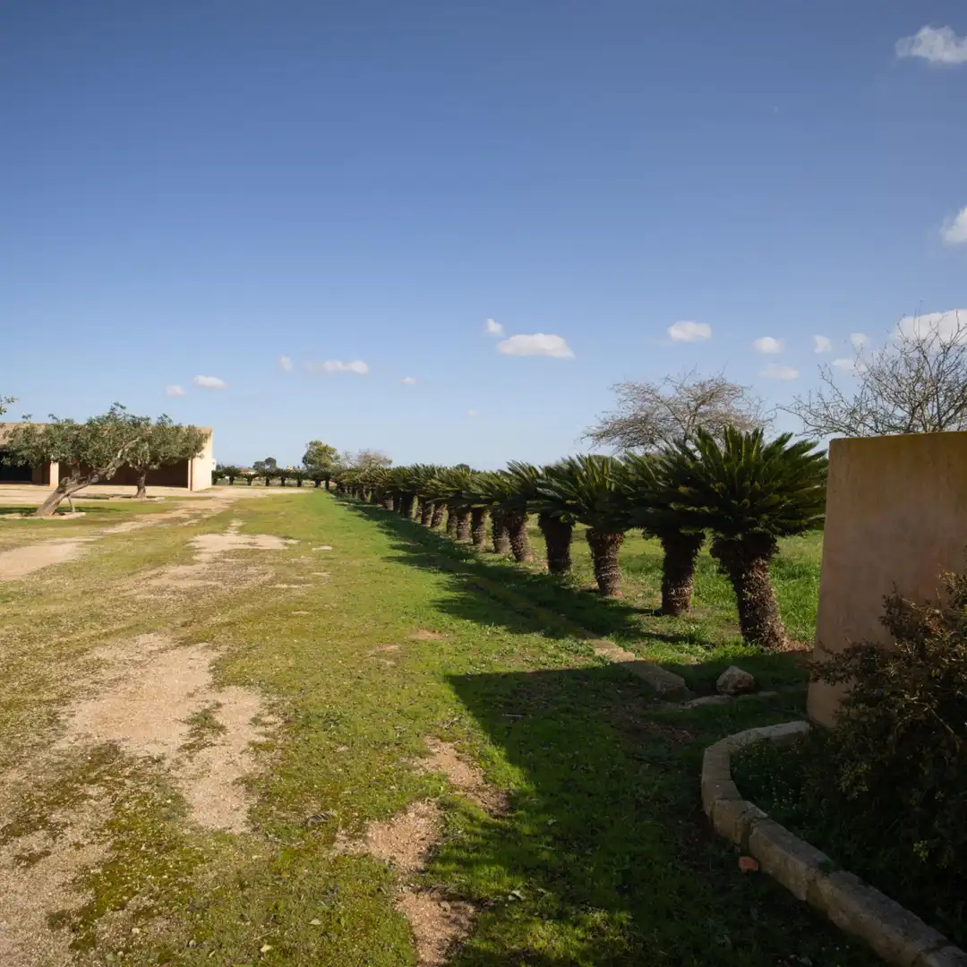 Maison avec jardin à vendre à Inca - Carrer del Rei, imagen 15