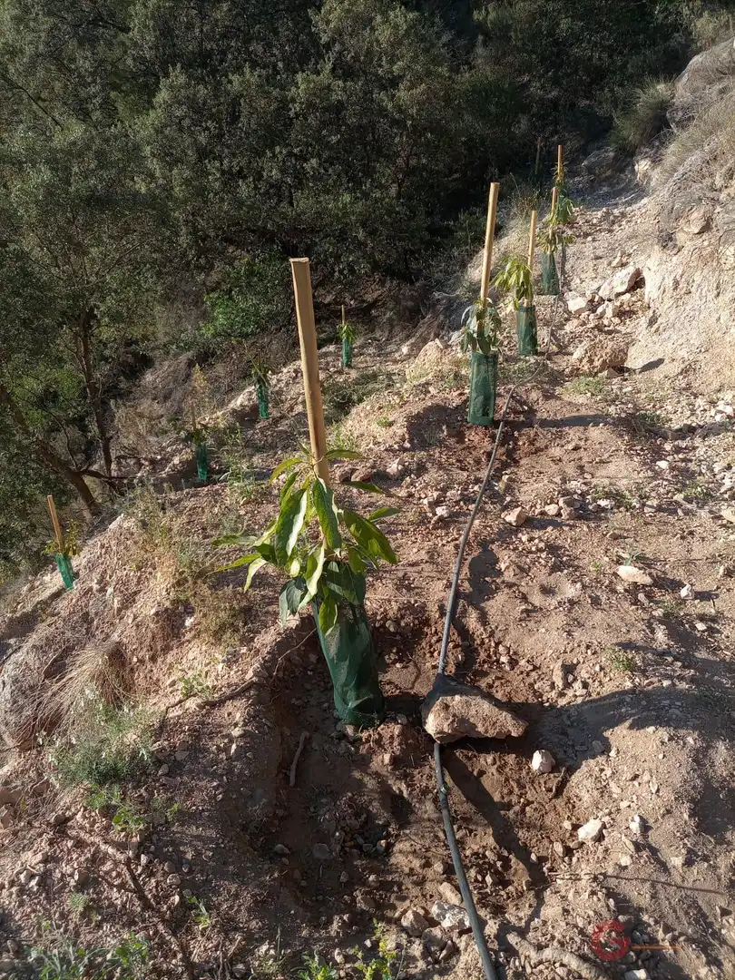 Terrenys i solars en venda a Los Guájares, imagen 14