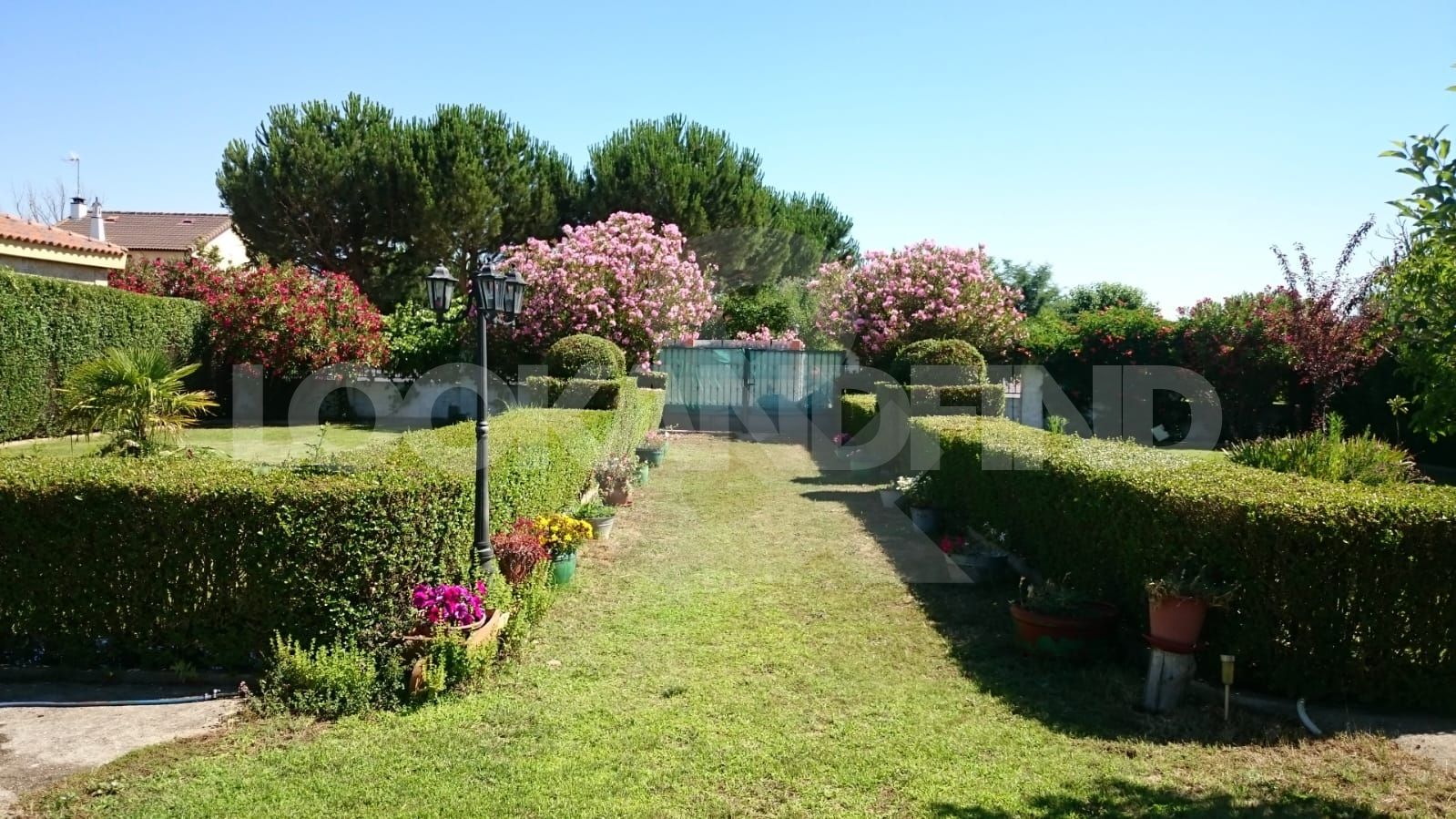 Jardín de Casa o chalet en venta en Calvarrasa de Abajo con Jardín privado y Amueblado