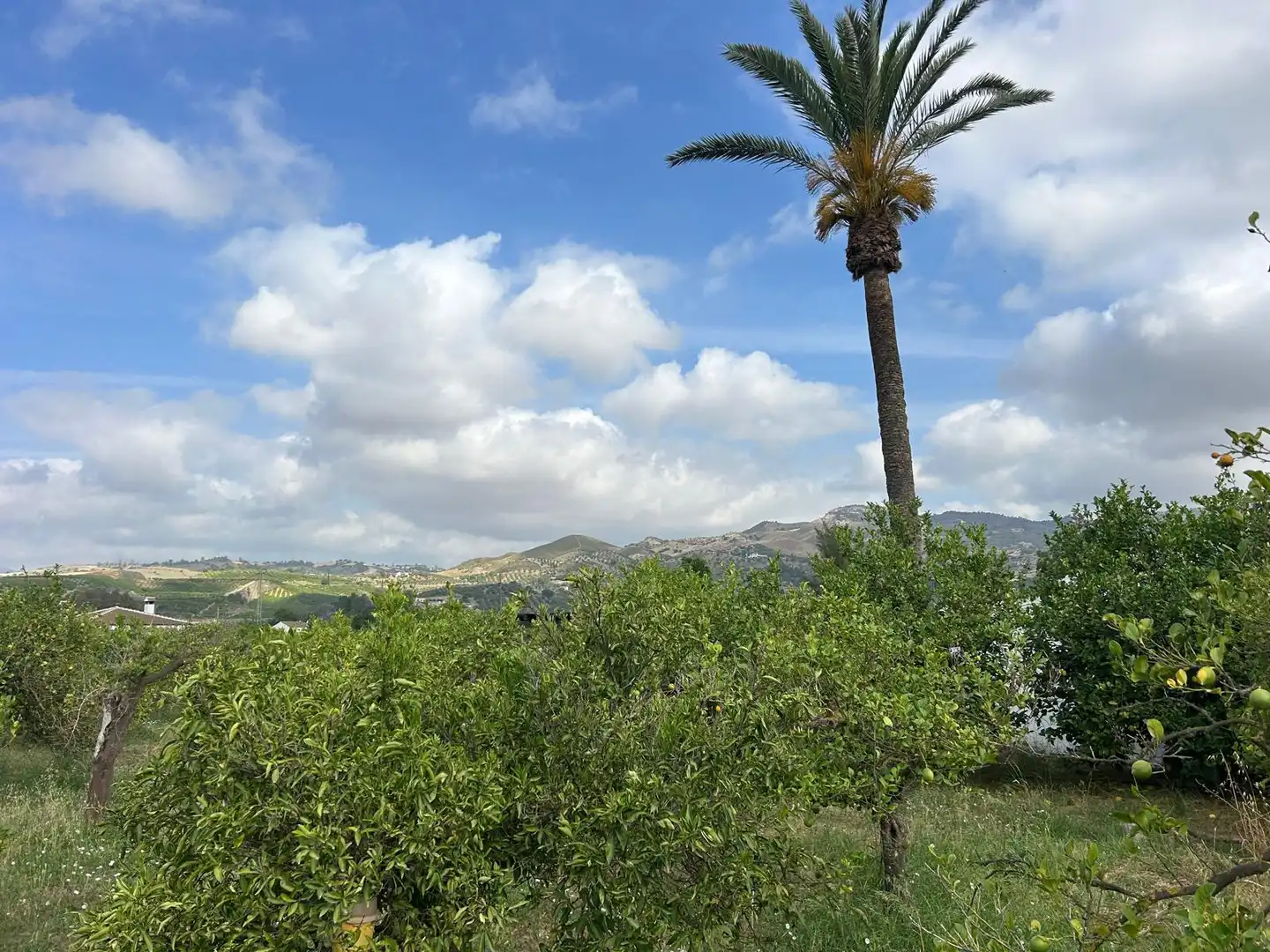Country homes for sale in Álora