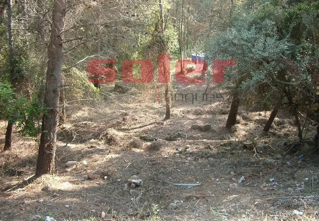 Terreni e lotti in vendita a La Palma de Cervelló, imagen 5