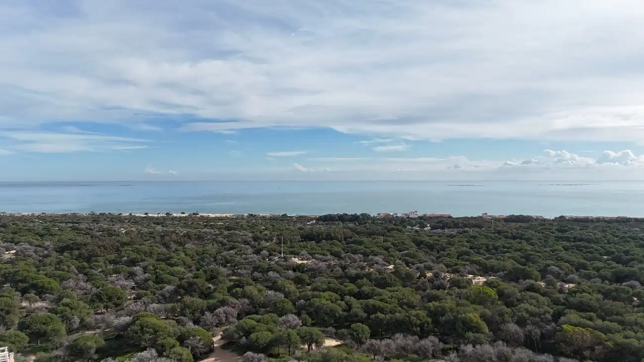 Residencial en venda en Guardamar del Segura