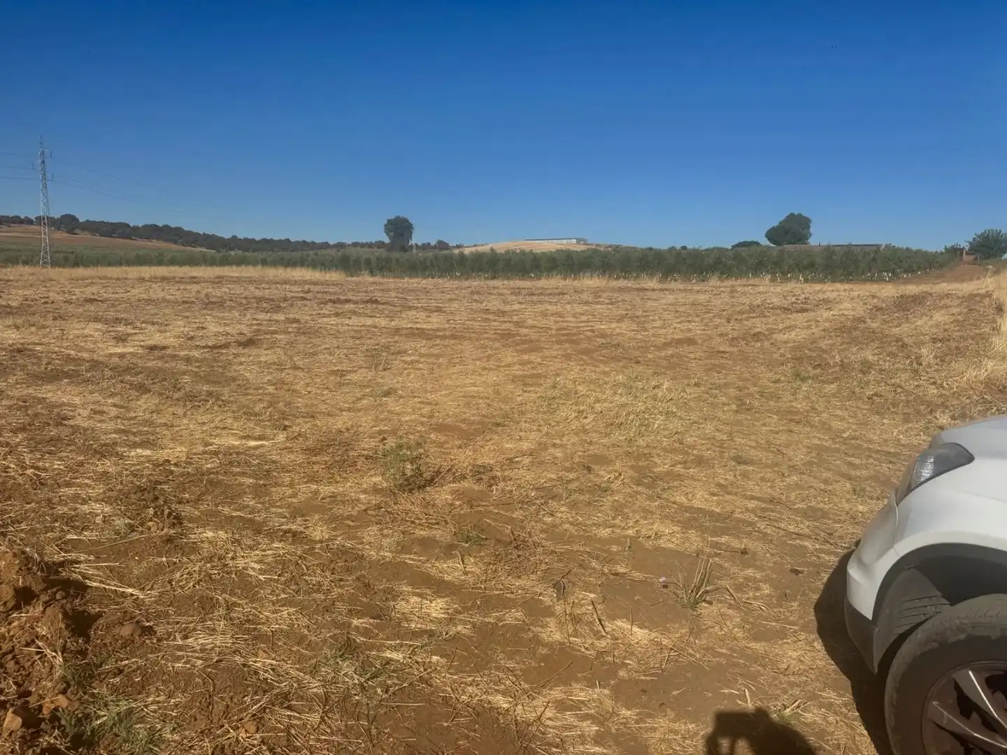 Terreno rústico en venta en Talavera la Real