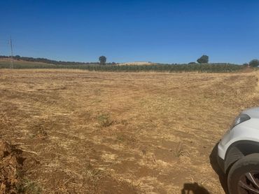Terreno rústico en venta en Talavera la Real