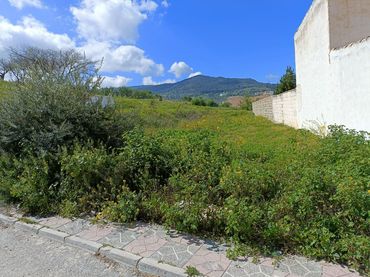 Terreny residencial en venda a Travesia isabel la catolica 0