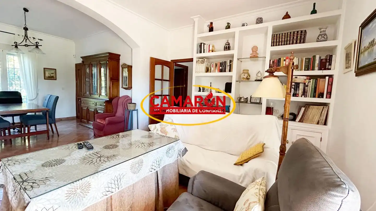 Sala d'estar de Finca rústica en venda en Coria del Río amb Jardí privat i Piscina