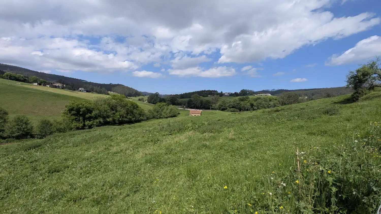 Country homes for sale in Piélagos