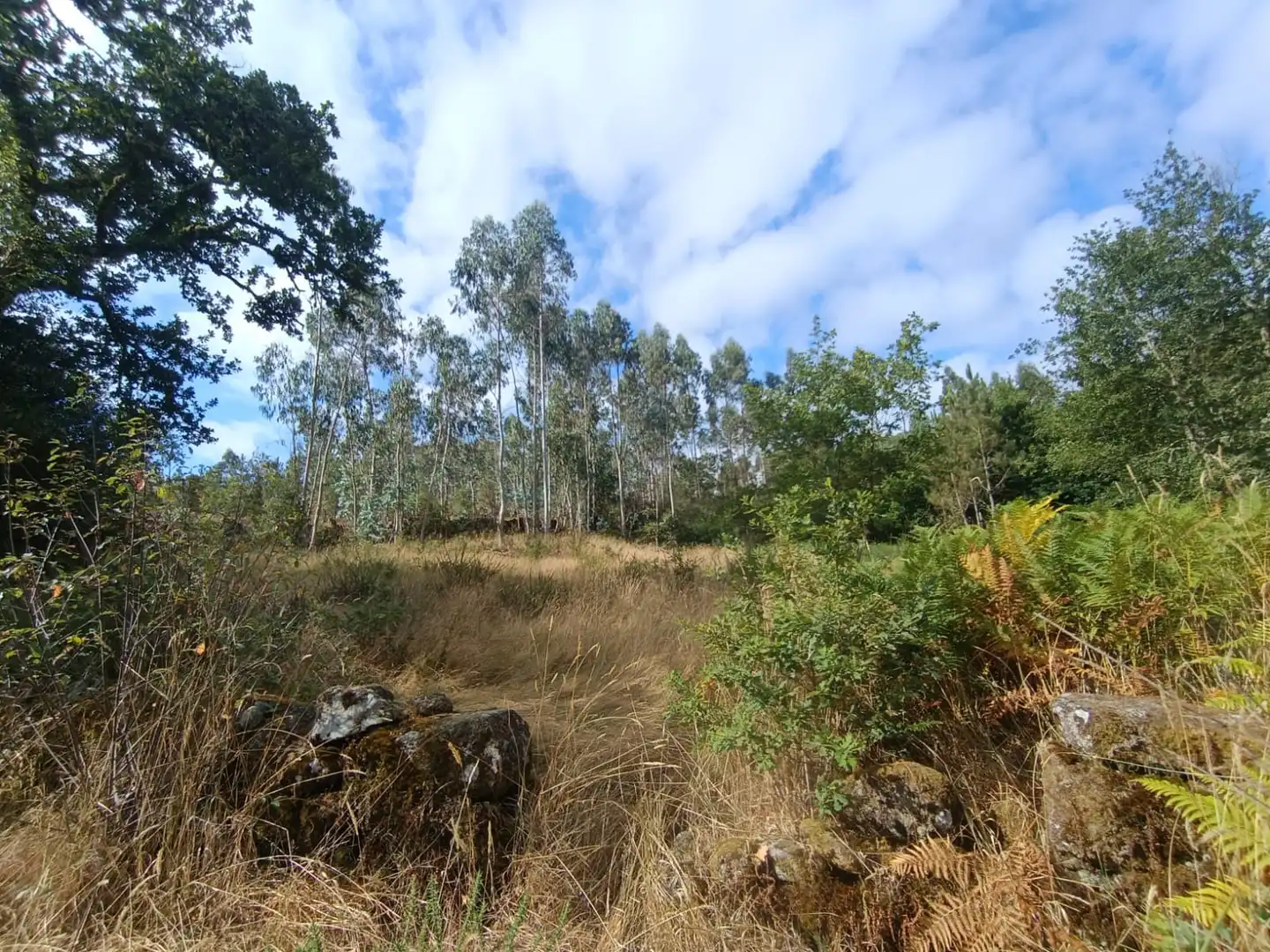 Residencial en venda en Cotobade