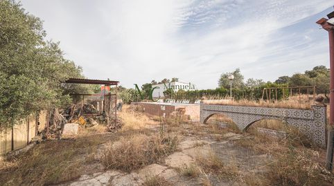 Foto 3 de Finca rústica en venda a Don Álvaro, Badajoz