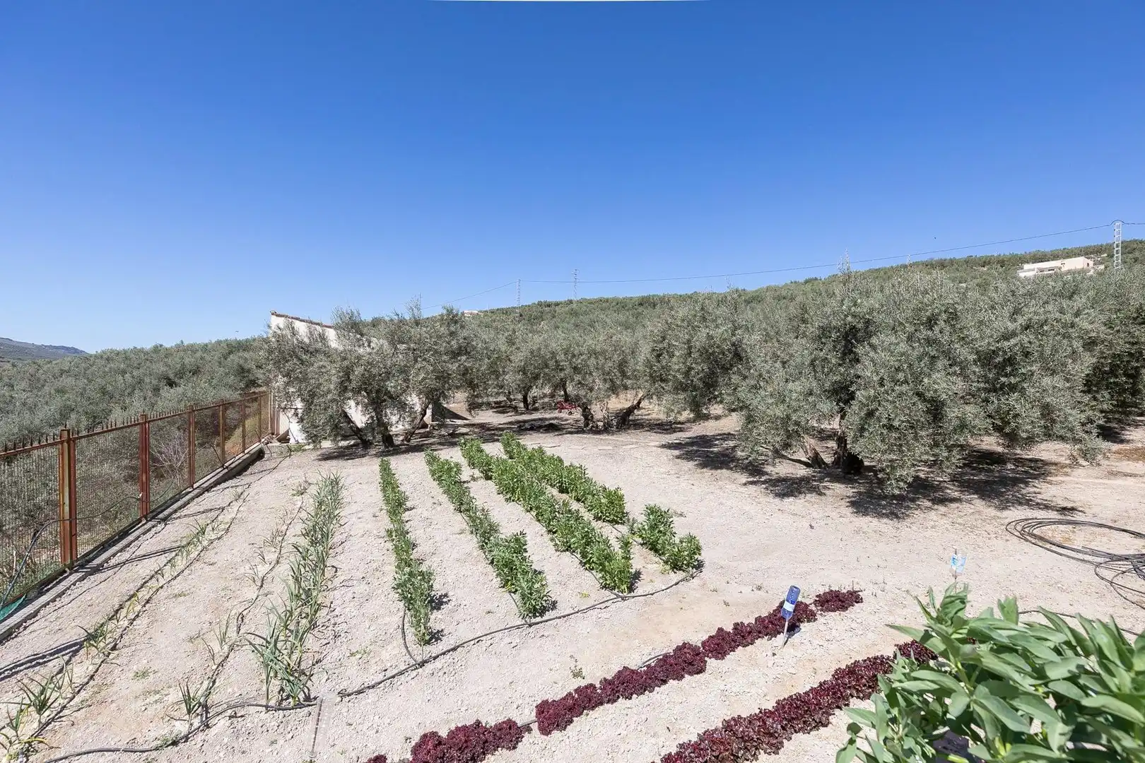 Jardín de Finca rústica en venta en Montefrío con Calefacción, Jardín privado y Terraza
