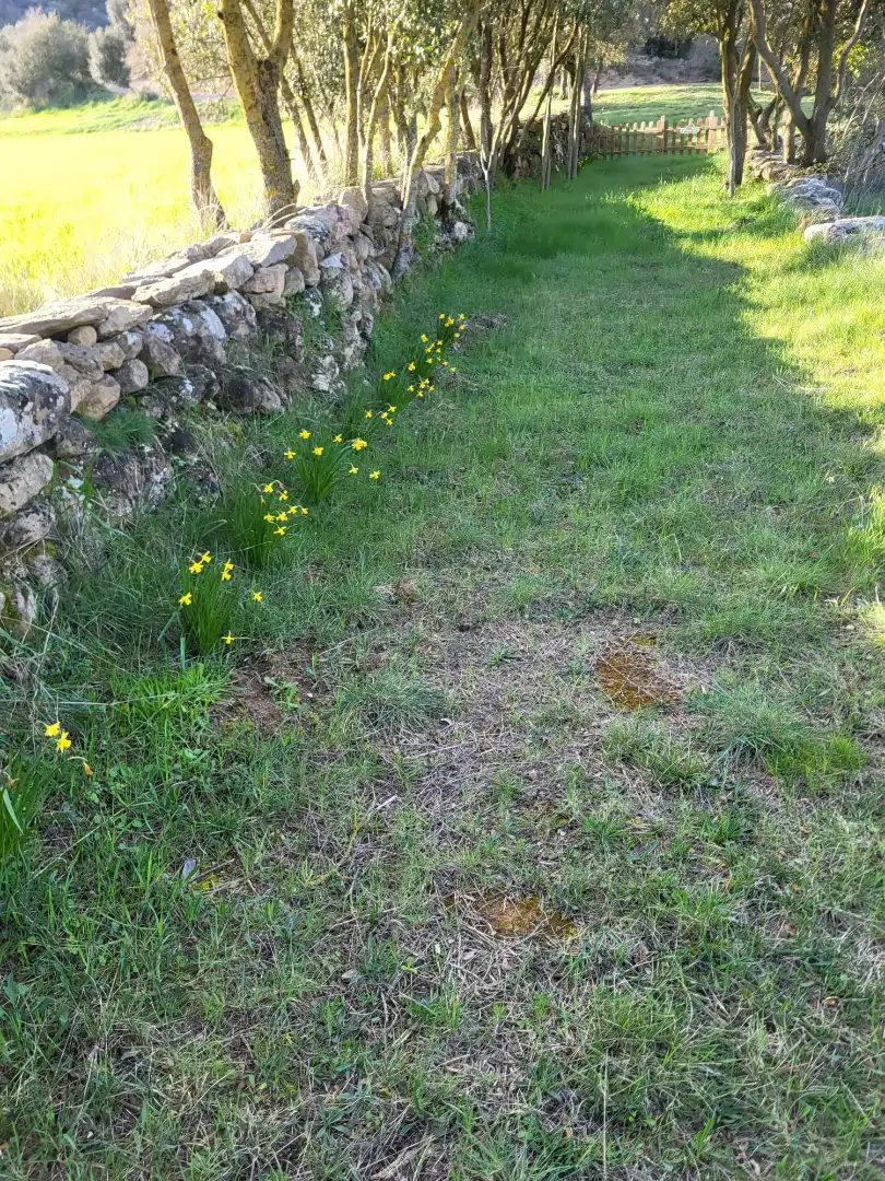 Jardín de Terreno en venta en Pinell de Solsonès