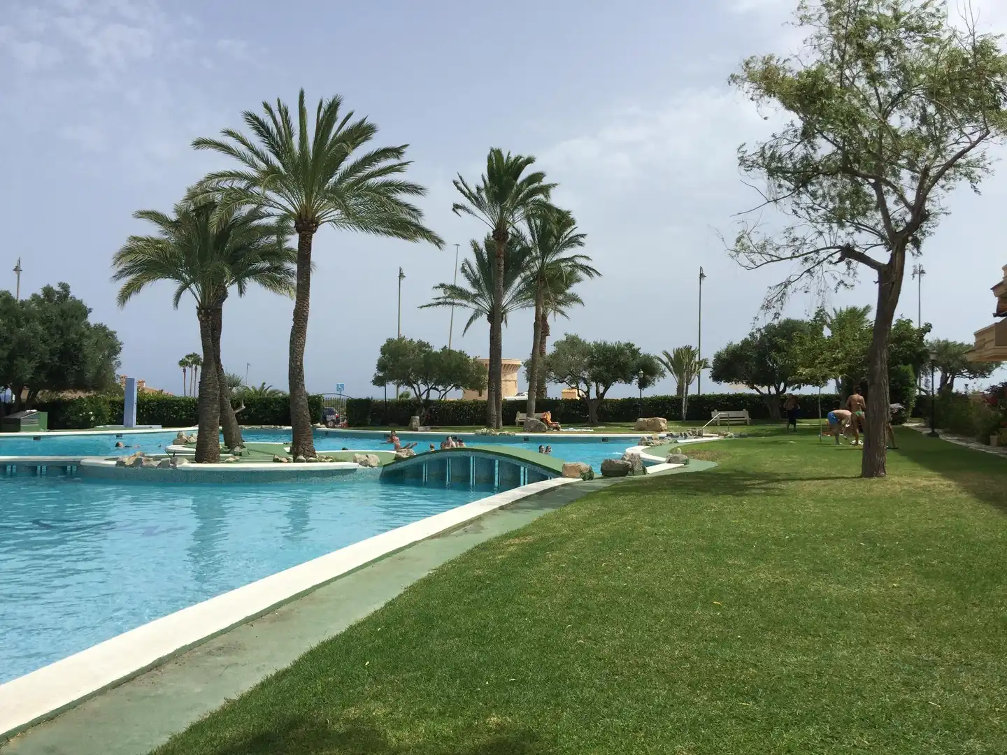 Swimming pool of Flat for sale in El Campello  with Private garden, Terrace and Balcony