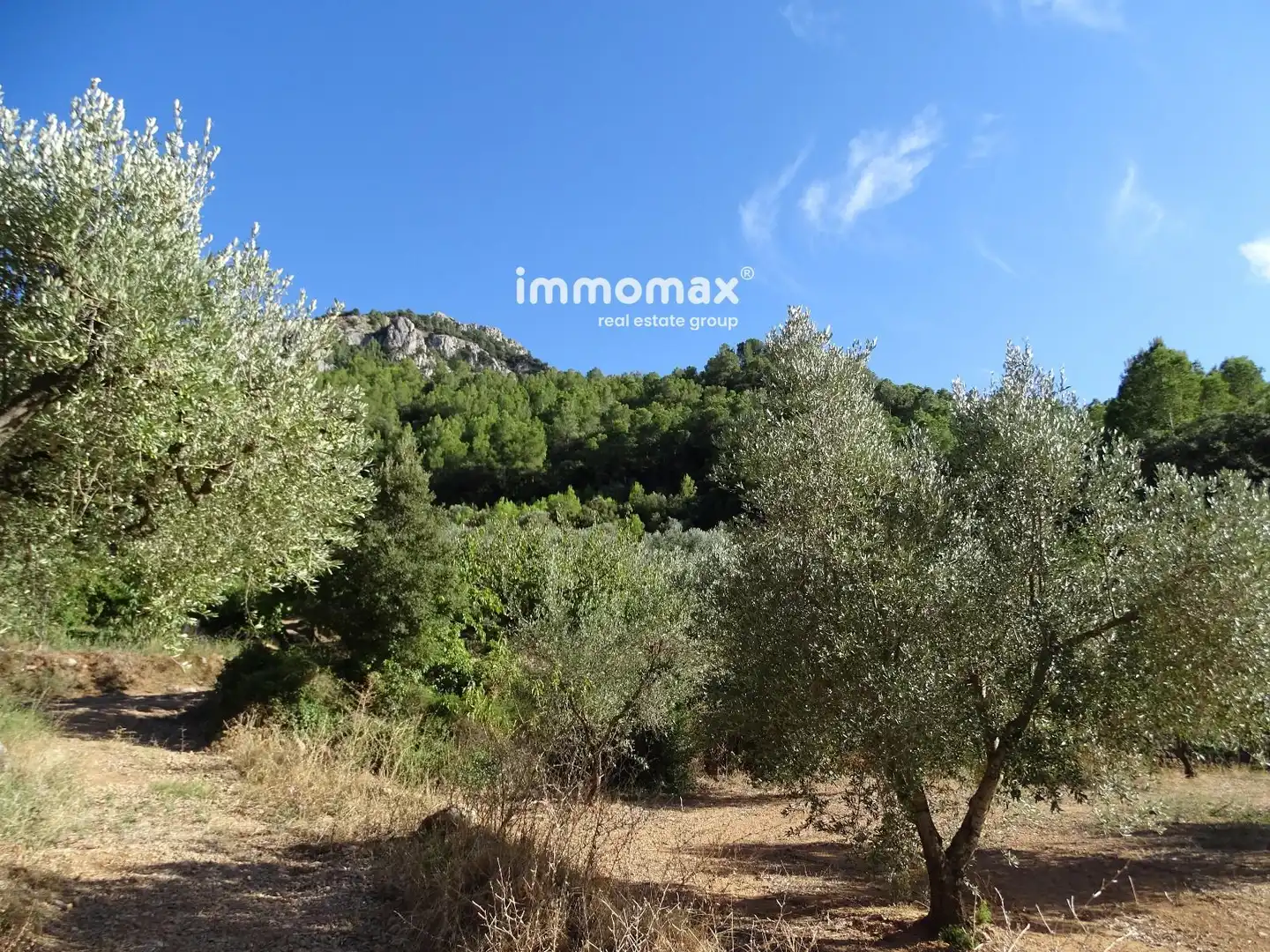 Terreno en venta en Paüls