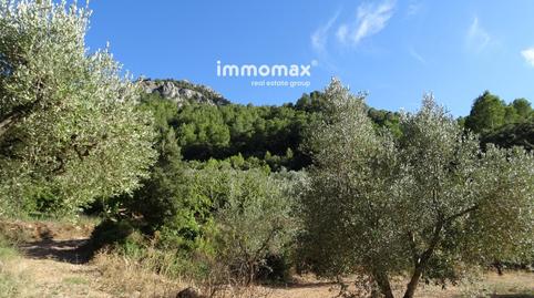 Foto 5 de Terreny en venda a 8, Paüls, Tarragona