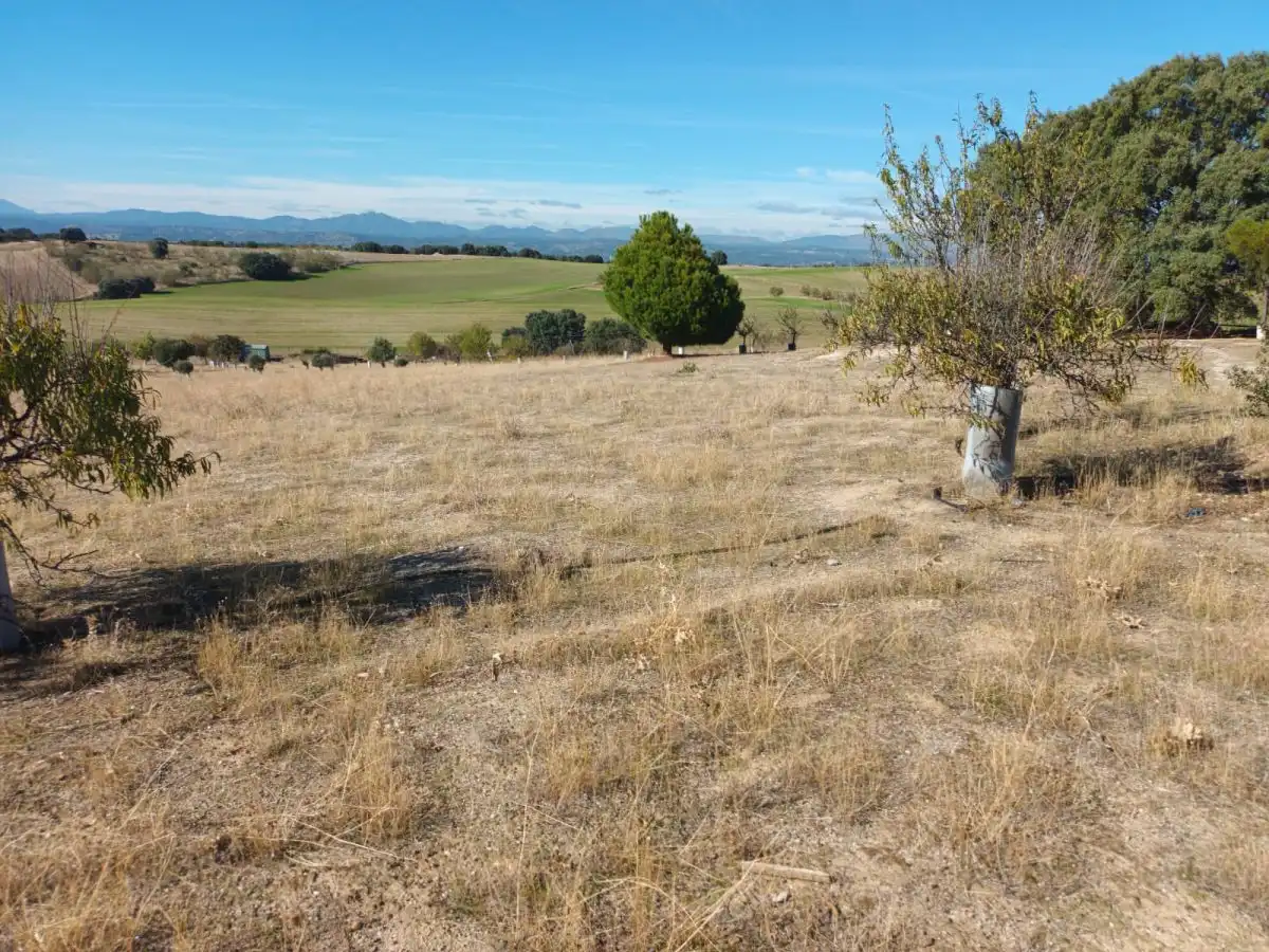 Finca rústica en venta en Brunete