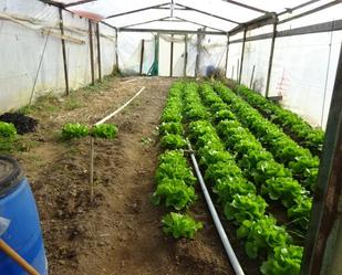 Jardí de Finca rústica en venda en Riells i Viabrea