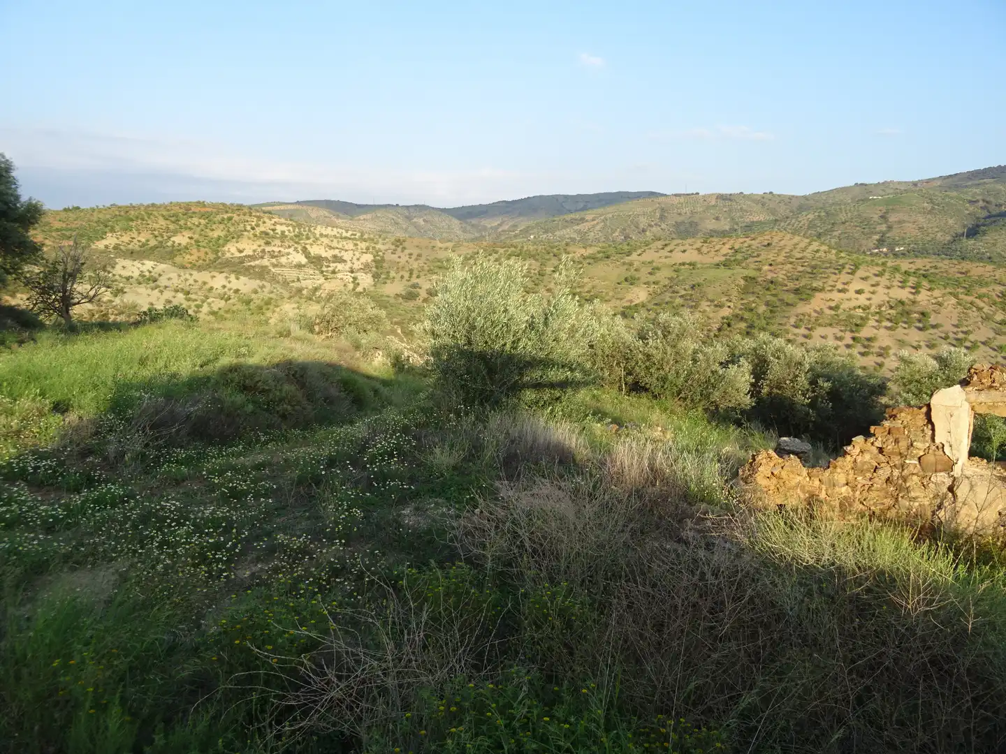 Country homes for sale in Lobras