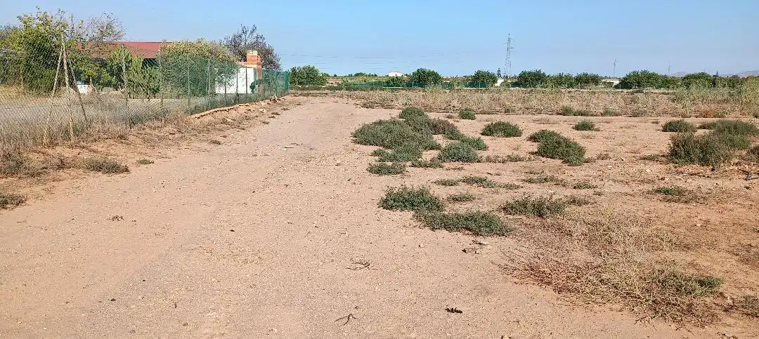 Rustikales Grundstück zum Verkauf in Pedanías Oeste, imagen 2