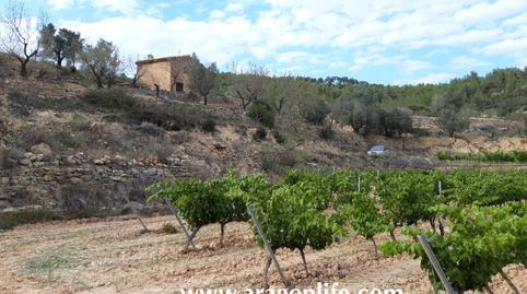 Photo 3 of Country house for sale in Carrer Major, Caseres, Tarragona