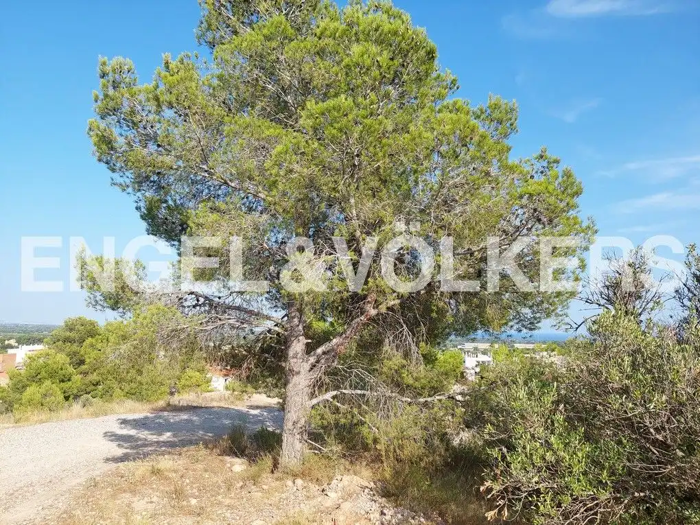 Terreny residencial en venda a Poble, imagen 11
