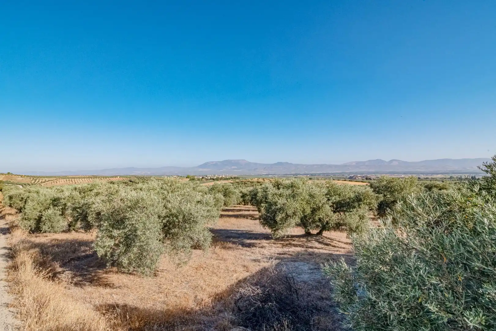 Apartments for sale in Santa Fe