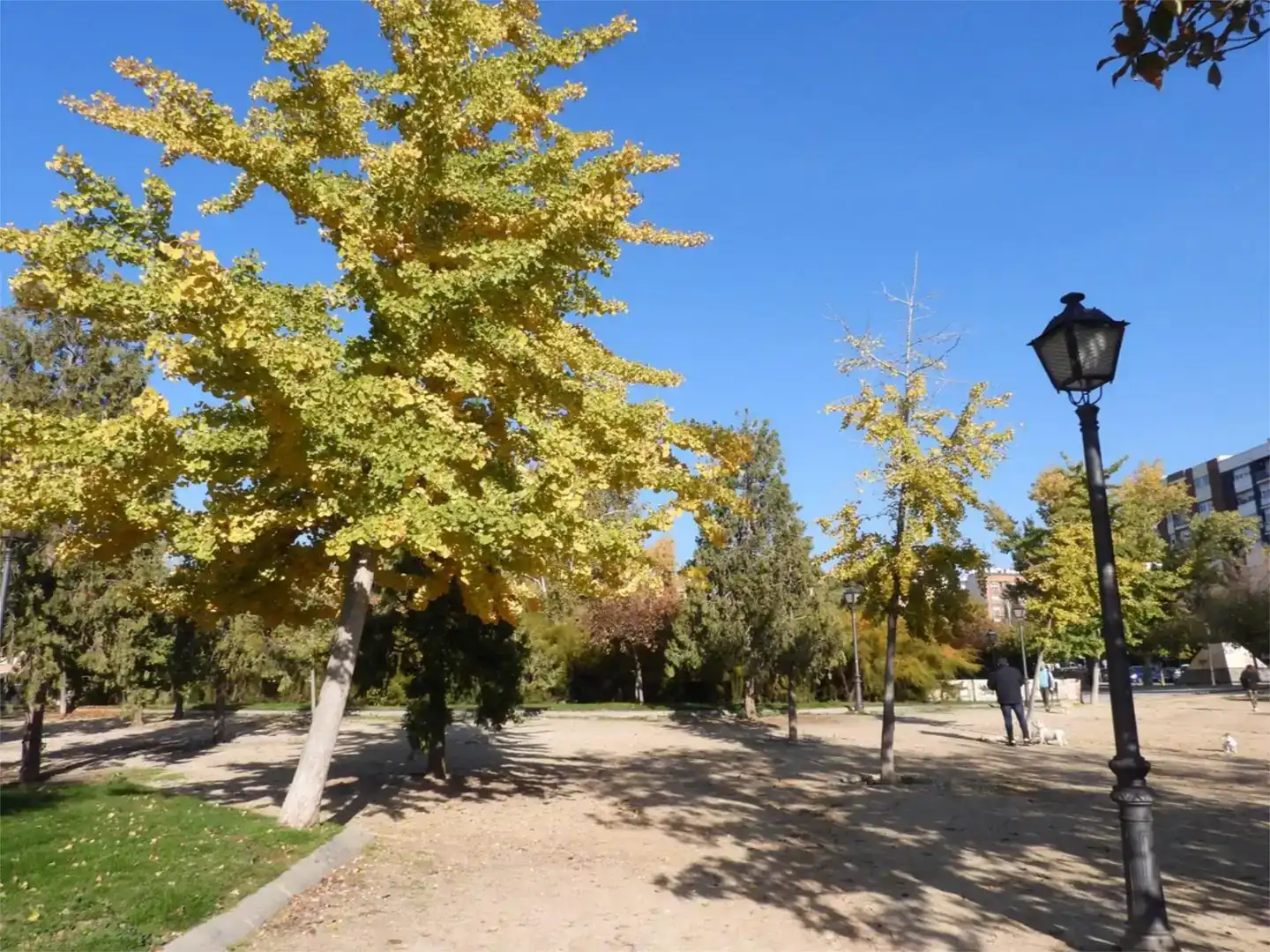 Vista exterior de Pis en venda en  Madrid Capital amb Aire condicionat i Balcó
