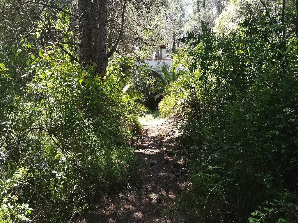 Exterior view of House or chalet for sale in Villalonga  with Storage room and Community pool