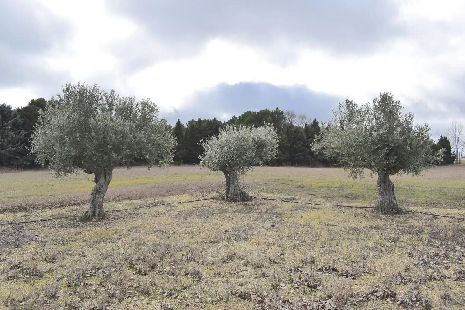 Casa o xalet en venda en La Fuente de San Esteban  amb Calefacció, Terrassa i Traster