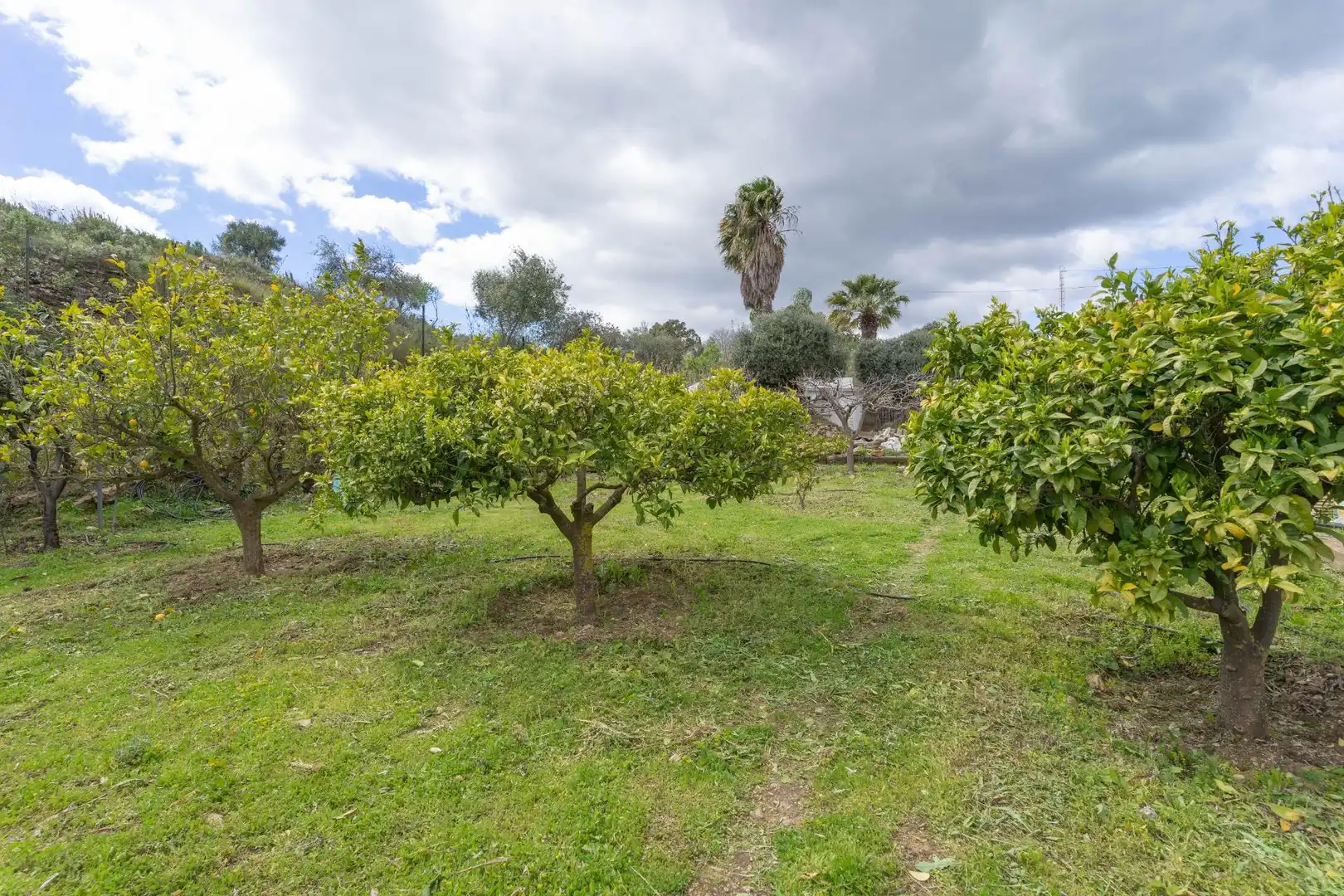 Casa o chalet de alquiler en Coín con Jardín privado, Terraza y Trastero