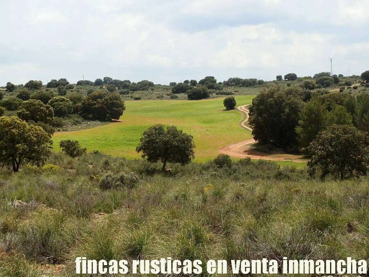 Terreno rustico in vendita a Ruidera, imagen 22
