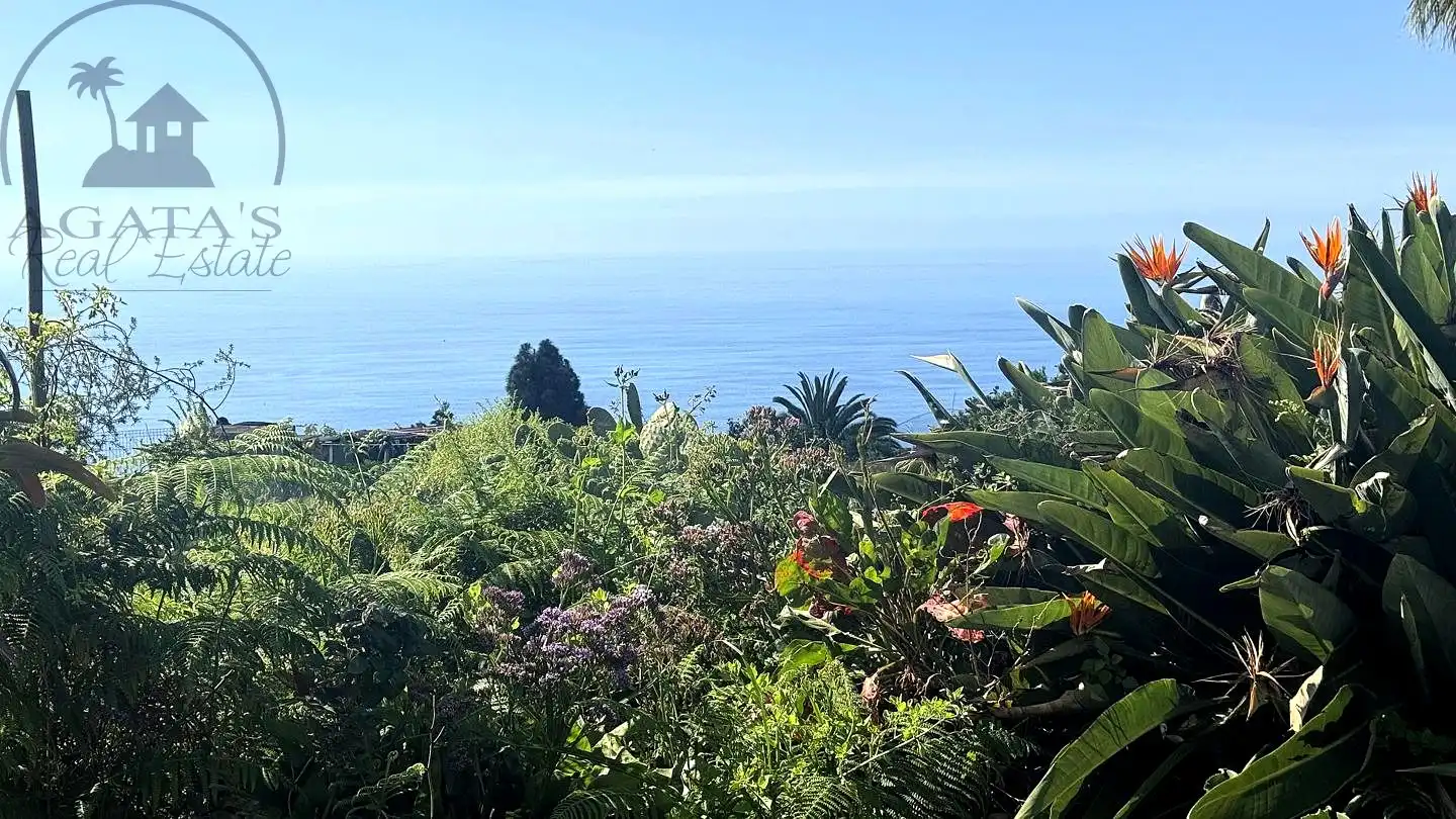 Jardí de Casa o xalet en venda en La Guancha amb Jardí privat i Moblat