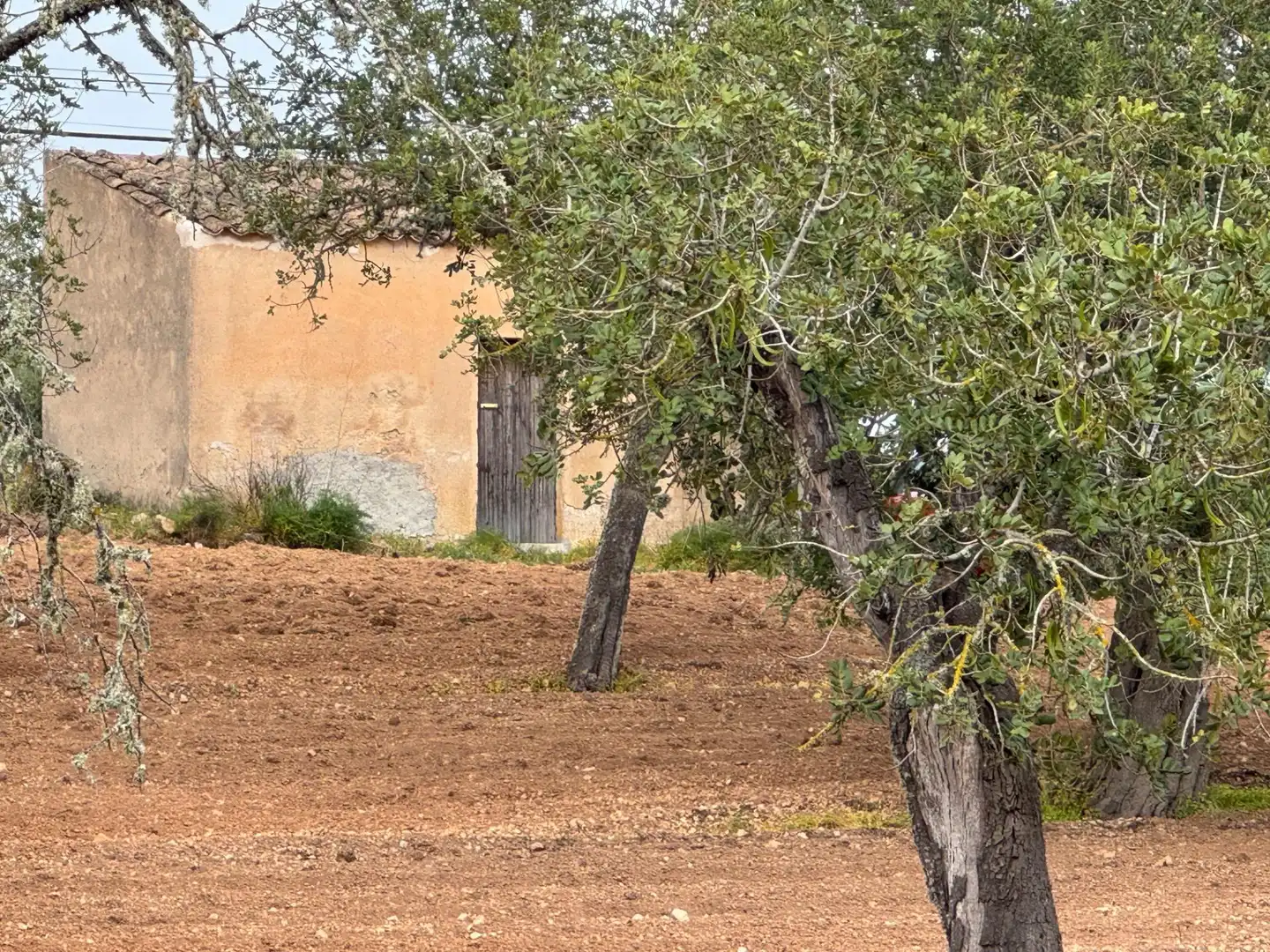 Rustikales Grundstück zum Verkauf in Camino Camí Vell de Porreres 2, imagen 29