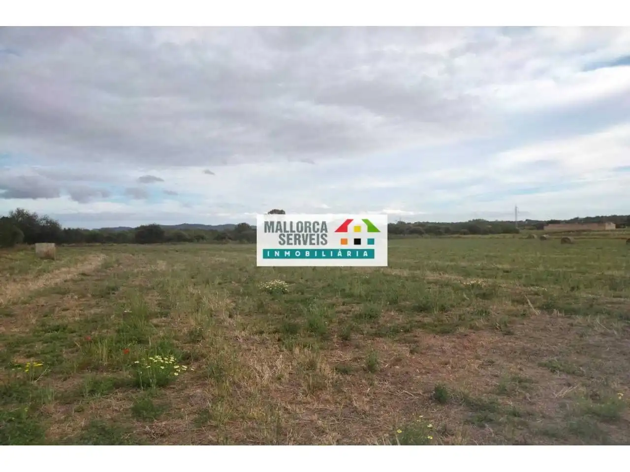 Residential land for sale in Manacor Centre, imagen 3